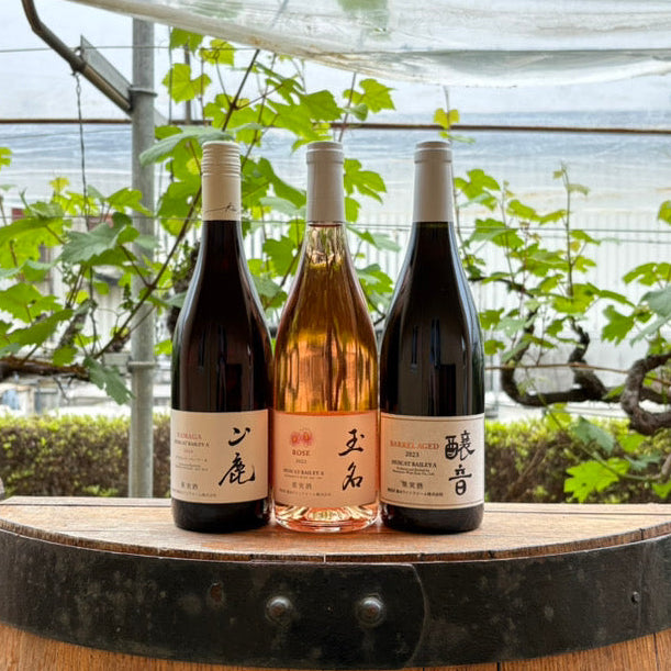 オンラインショップ限定】春の特別ヴィンテージセット！ – 熊本ワイン