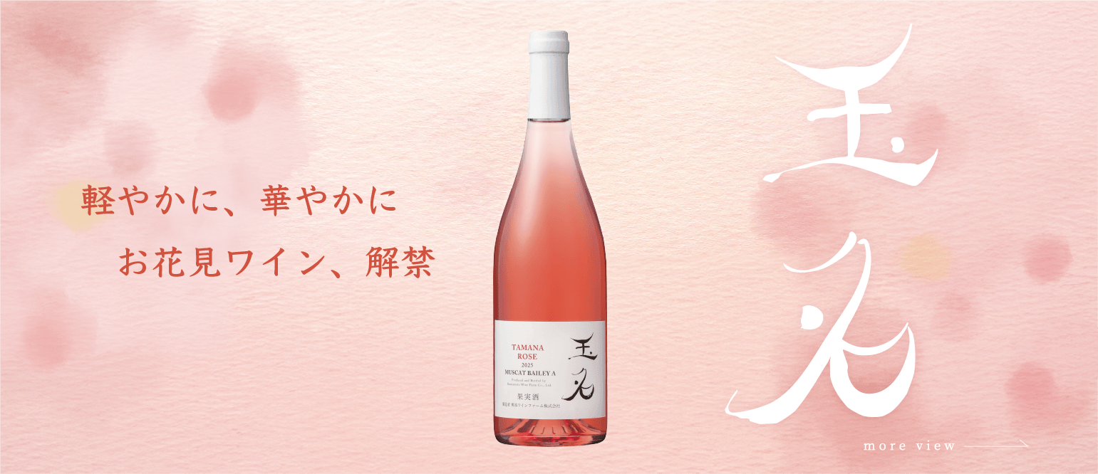 菊鹿 ナイトハーベスト・小伏野 シャルドネ樽発酵 2012（熊本ワイン