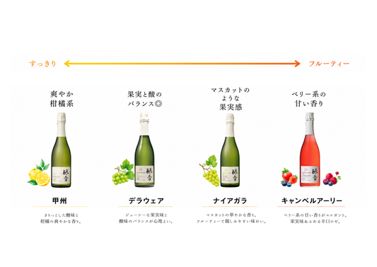 シュワっと爽快！スパークリングワイン 満足セット